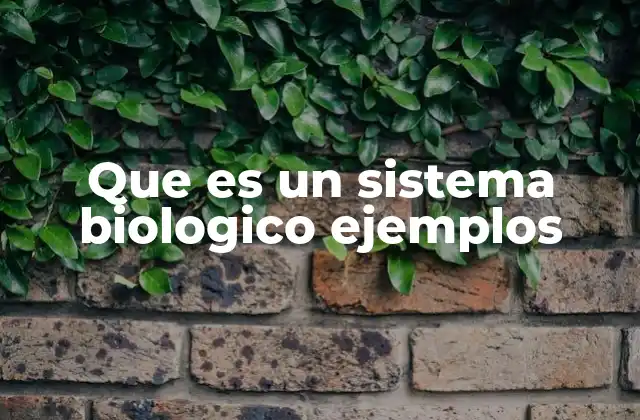 Que es un Sistema Biologico Ejemplos 2 Componentes esenciales de los sistemas biológicos