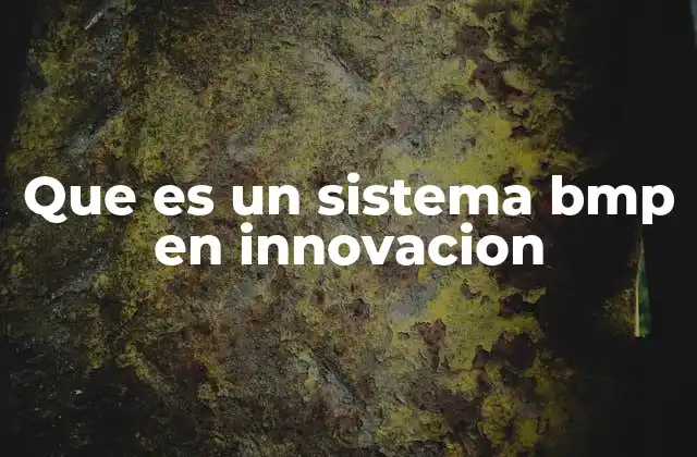Que es un Sistema Bmp en Innovacion