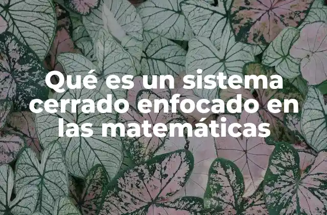 Qué es un Sistema Cerrado Enfocado en las Matemáticas