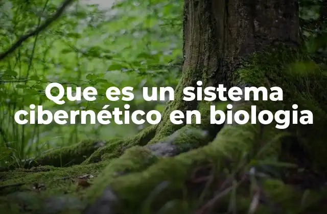 Que es un Sistema Cibernético en Biologia 2 Cómo funcionan los sistemas reguladores en los organismos vivos