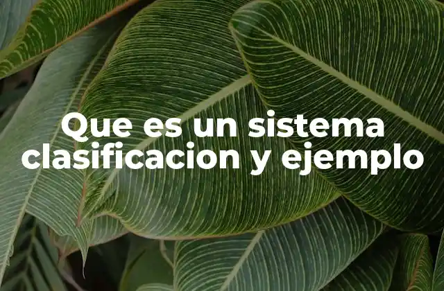 Que es un Sistema Clasificacion y Ejemplo 2 La importancia de estructurar información de forma lógica