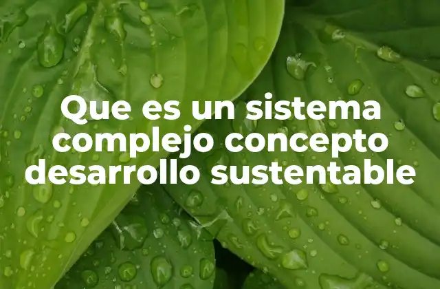 Que es un Sistema Complejo Concepto Desarrollo Sustentable 2 Cómo los sistemas complejos modelan la interacción entre sociedad y naturaleza