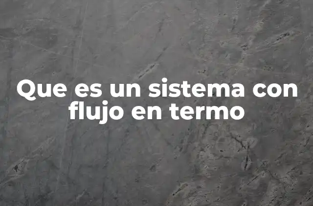Que es un Sistema con Flujo en Termo