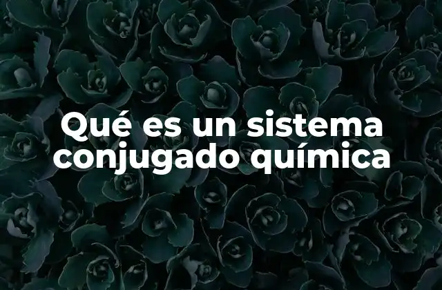 Qué es un Sistema Conjugado Química
