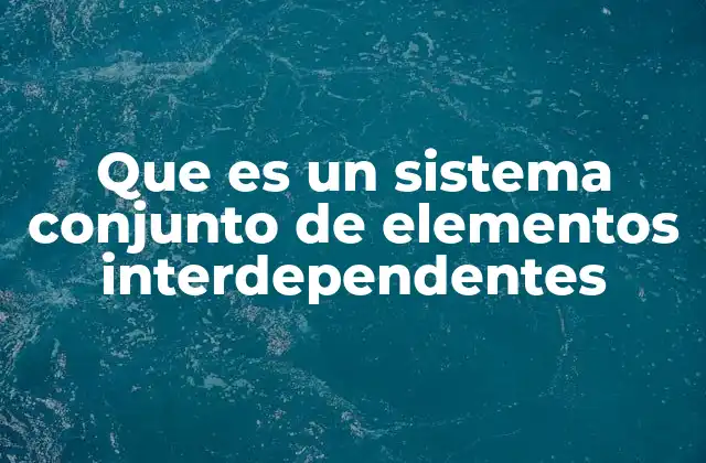 Que es un Sistema Conjunto de Elementos Interdependentes