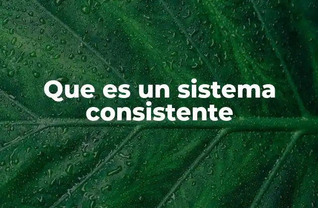 Que es un Sistema Consistente