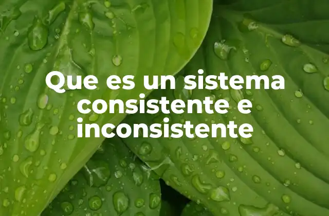 Que es un Sistema Consistente e Inconsistente 2 Características que definen la coherencia en un sistema formal