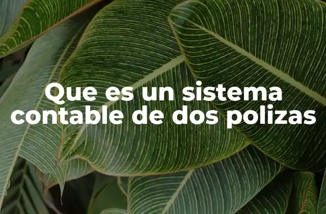Cómo funciona la contabilidad de partida doble