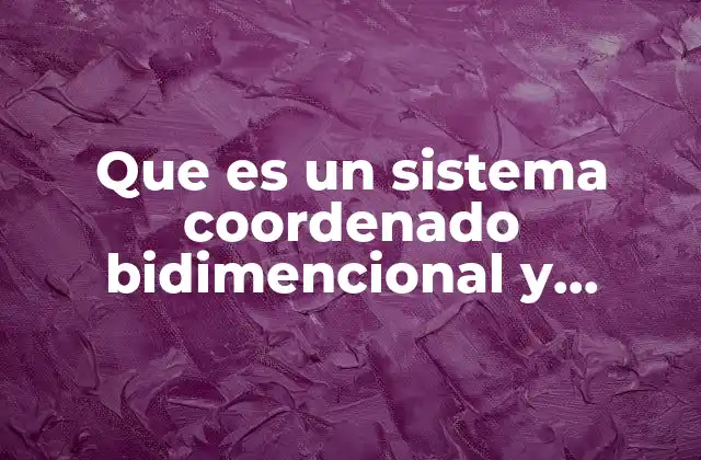 Que es un Sistema Coordenado Bidimencional y Ejemplos