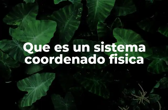 Que es un Sistema Coordenado Fisica