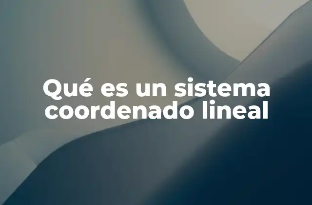 Qué es un Sistema Coordenado Lineal