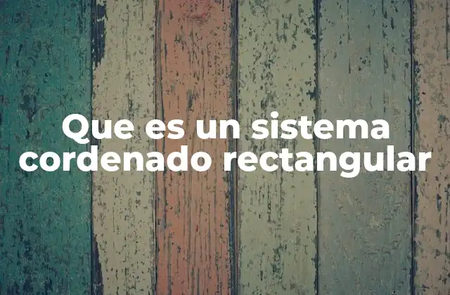 Que es un Sistema Cordenado Rectangular