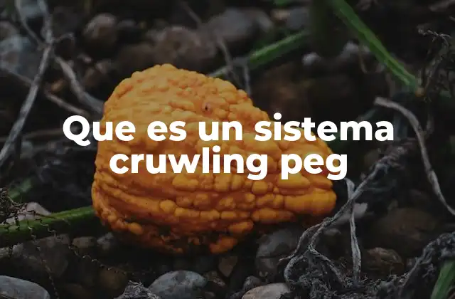 Que es un Sistema Cruwling Peg
