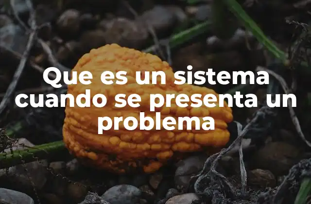 Que es un Sistema Cuando Se Presenta un Problema