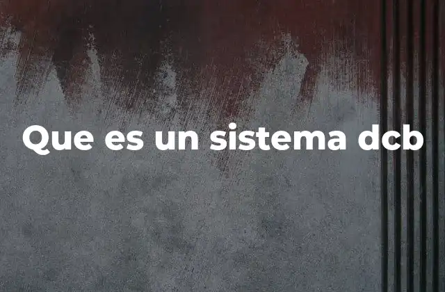 Que es un Sistema Dcb