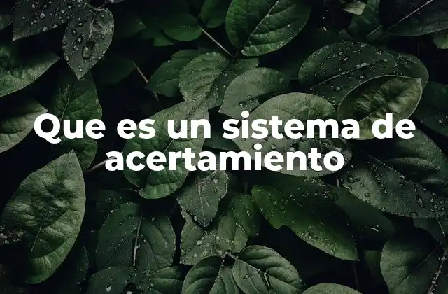 Que es un Sistema de Acertamiento