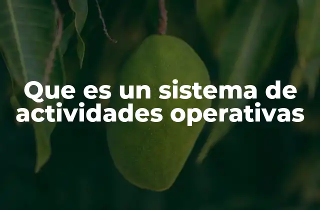Que es un Sistema de Actividades Operativas