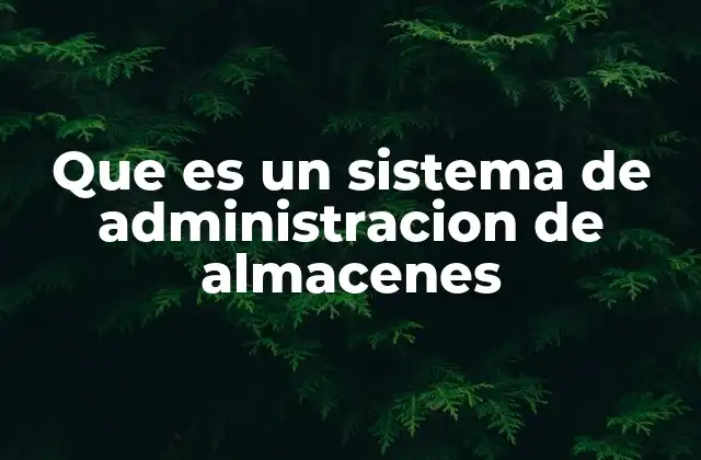 Que es un Sistema de Administracion de Almacenes