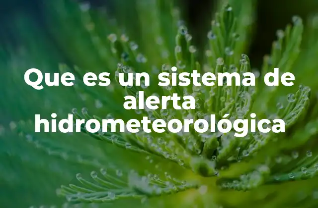 Que es un Sistema de Alerta Hidrometeorológica
