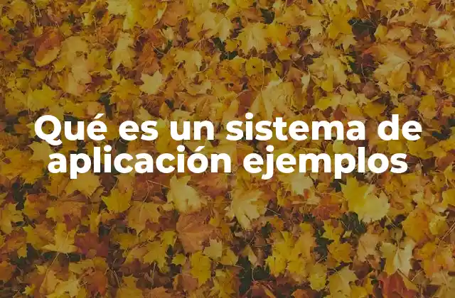 Qué es un Sistema de Aplicación Ejemplos