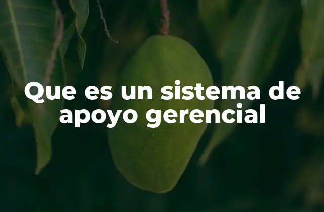 Que es un Sistema de Apoyo Gerencial