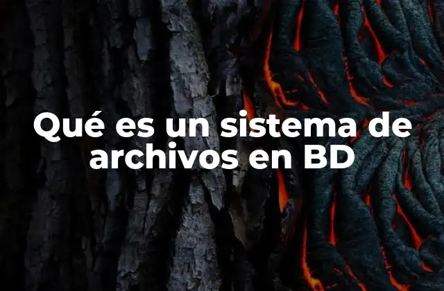 Qué es un Sistema de Archivos en Bd