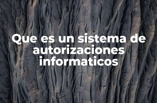 Que es un Sistema de Autorizaciones Informaticos