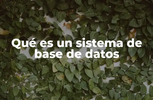 Cómo funciona un sistema de base de datos