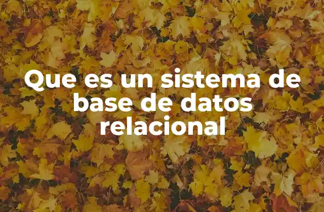 Que es un Sistema de Base de Datos Relacional