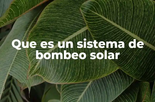 Que es un Sistema de Bombeo Solar