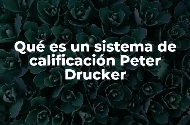 Qué es un Sistema de Calificación Peter Drucker