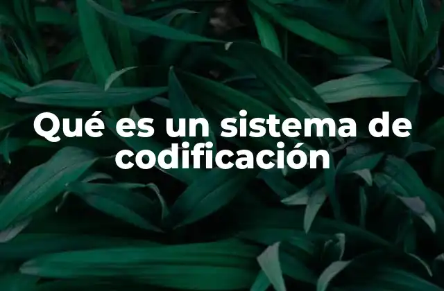 Qué es un Sistema de Codificación