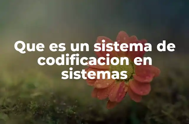 Que es un Sistema de Codificacion en Sistemas
