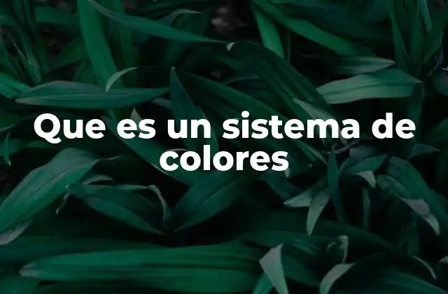 Que es un Sistema de Colores