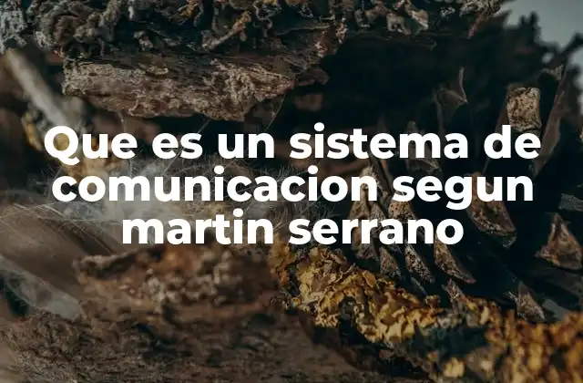 Que es un Sistema de Comunicacion Segun Martin Serrano