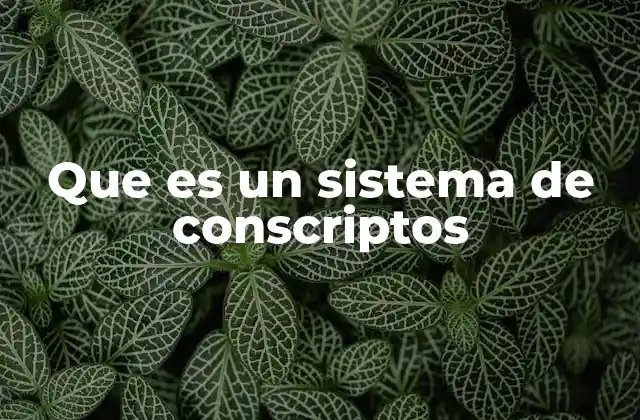 Que es un Sistema de Conscriptos