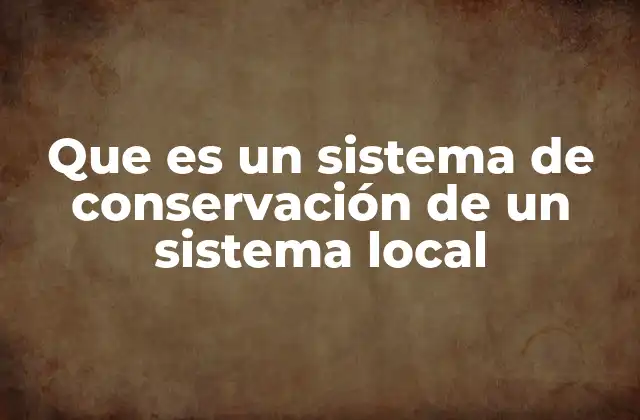 Que es un Sistema de Conservación de un Sistema Local
