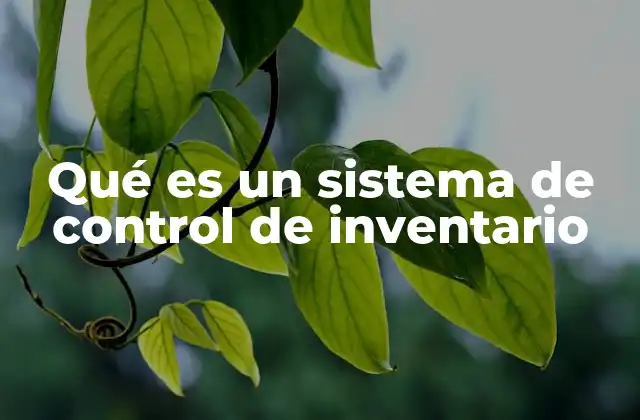Qué es un Sistema de Control de Inventario