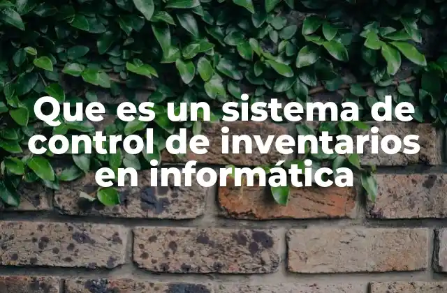 Que es un Sistema de Control de Inventarios en Informática