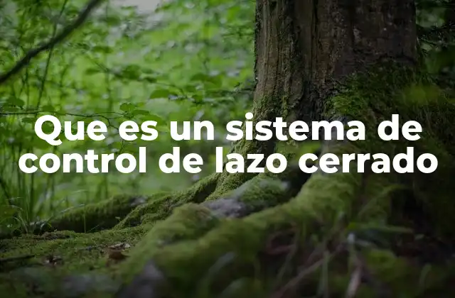 Que es un Sistema de Control de Lazo Cerrado