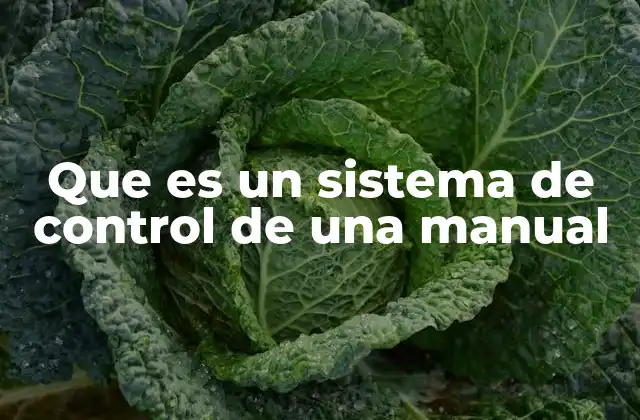 Que es un Sistema de Control de una Manual 2 Características esenciales de los sistemas de control manual