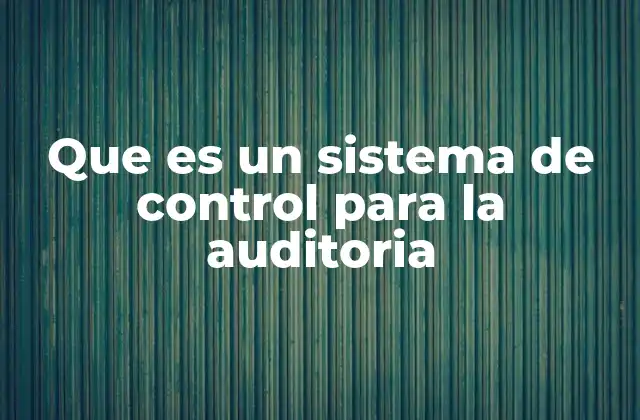 Que es un Sistema de Control para la Auditoria