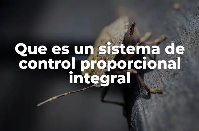 Cómo funciona el control proporcional y el integral juntos