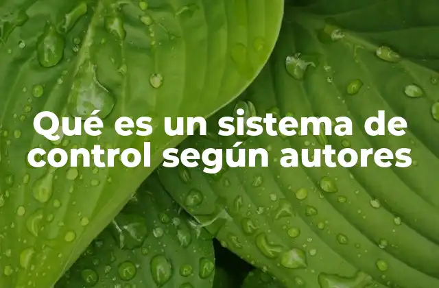 Qué es un Sistema de Control según Autores