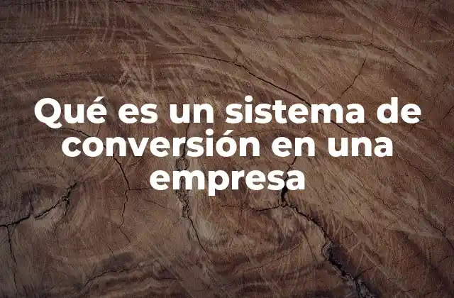 Qué es un Sistema de Conversión en una Empresa