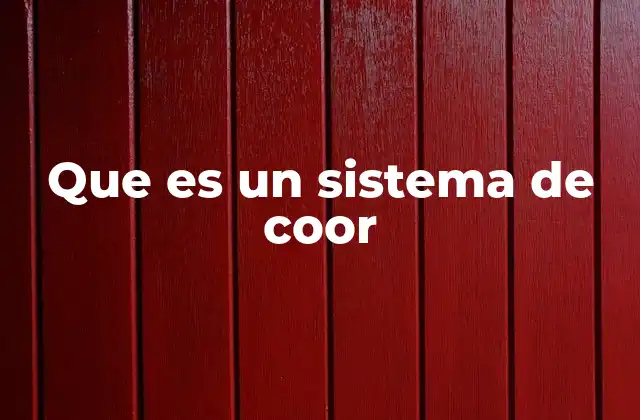 Que es un Sistema de Coor