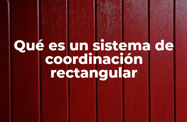 Qué es un Sistema de Coordinación Rectangular