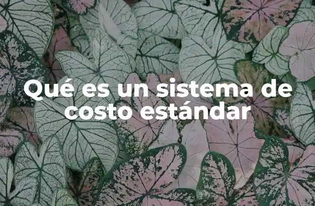 Qué es un Sistema de Costo Estándar