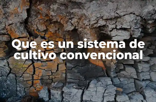 Que es un Sistema de Cultivo Convencional 2 Características del sistema de cultivo tradicional
