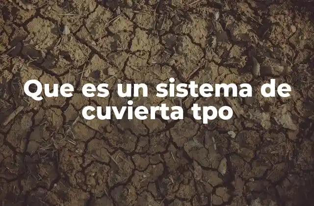 Que es un Sistema de Cuvierta Tpo